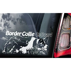 border-collie-v02