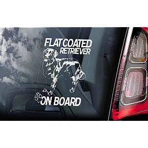 flat-coated-retriever-v01