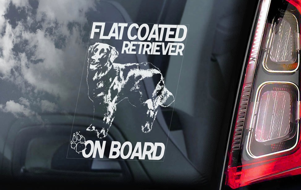 Flat Coated Retriever - v01
