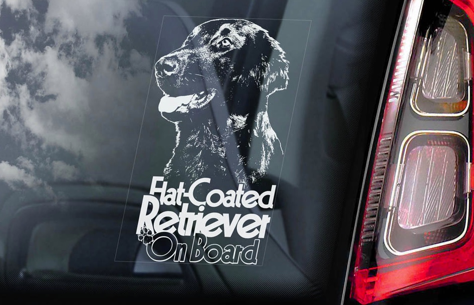 Flat Coated Retriever - v03