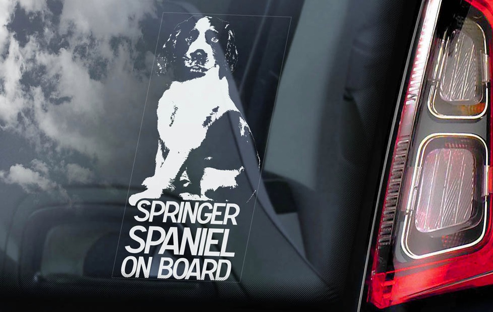 Springer Spaniel - v01