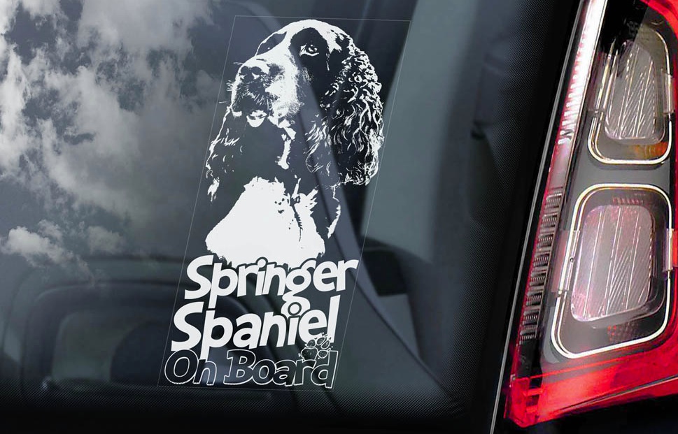 Springer Spaniel - v02