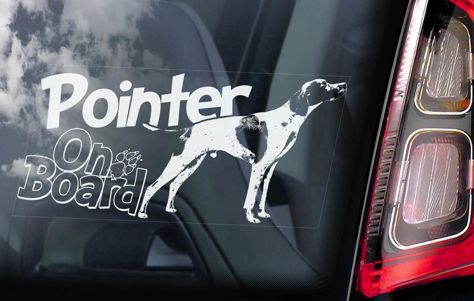 Pointer