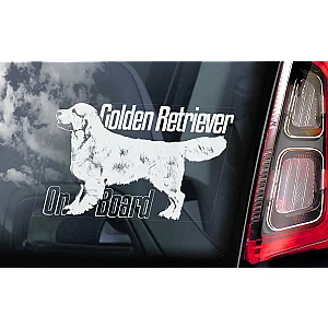 golden-retriever-v04