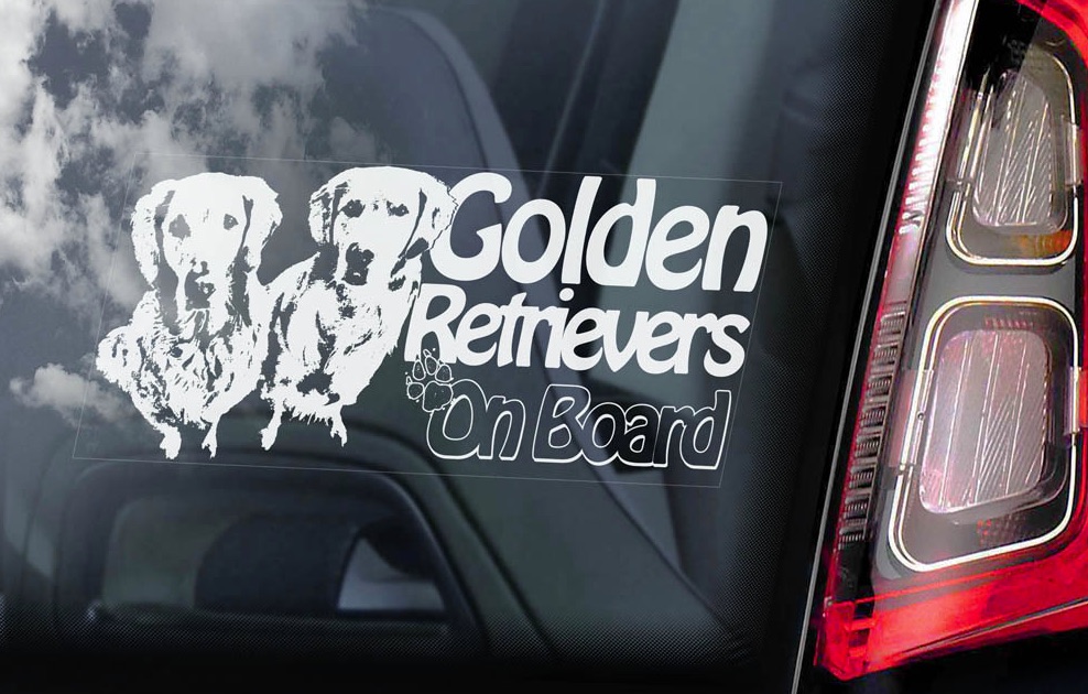 Golden Retriever - v03