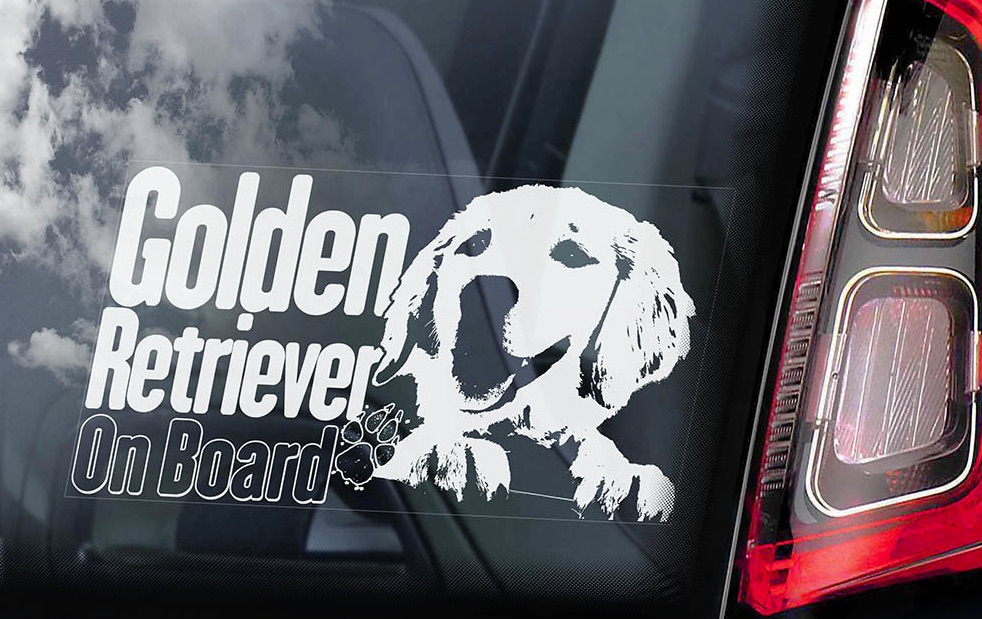 Golden Reriever - v05