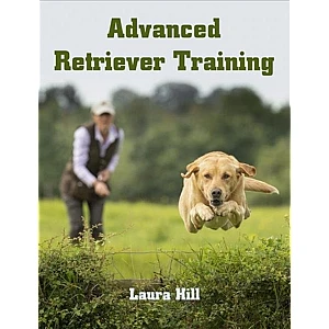 advanced-retriever-training