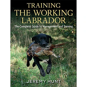 training-the-working-labrador