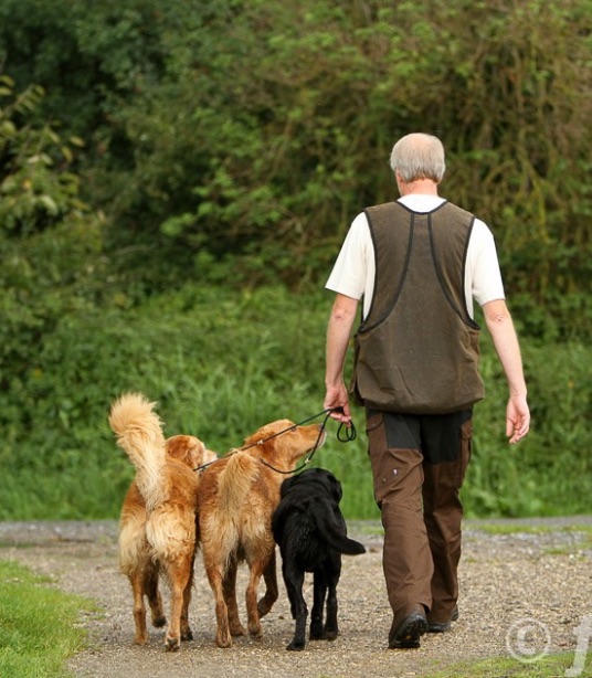 Firedog Dummyvest - Waxed Cotton Brun (Small)