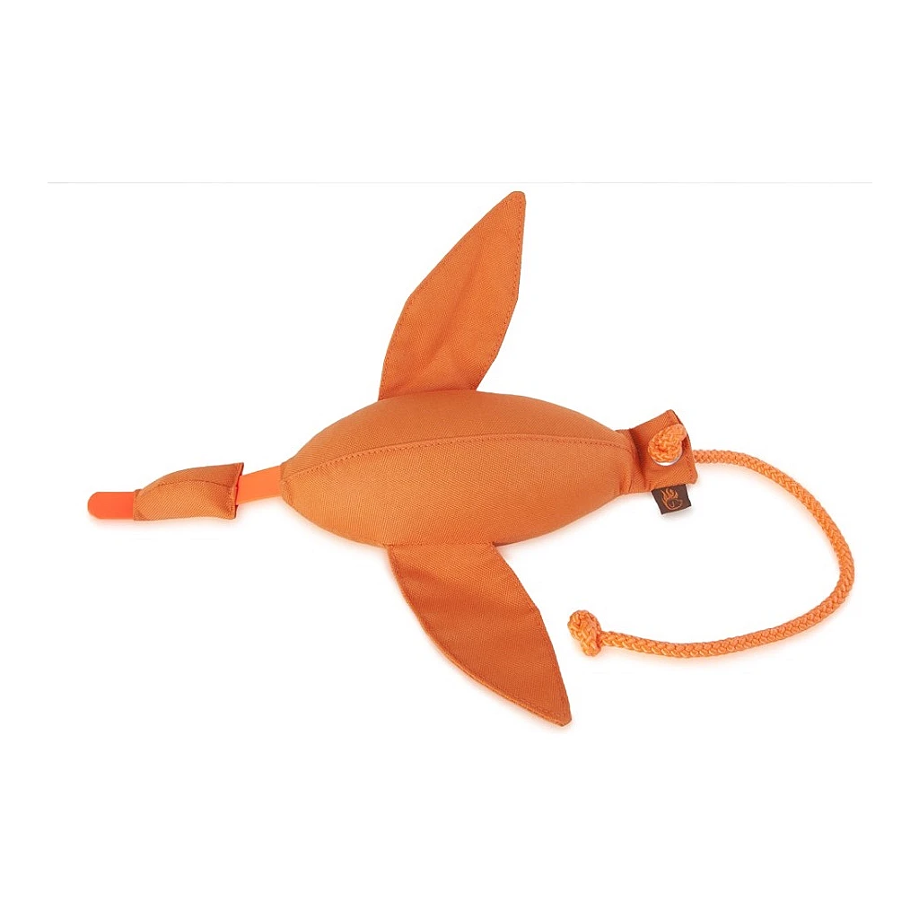 duck-dummy-orange-small environment