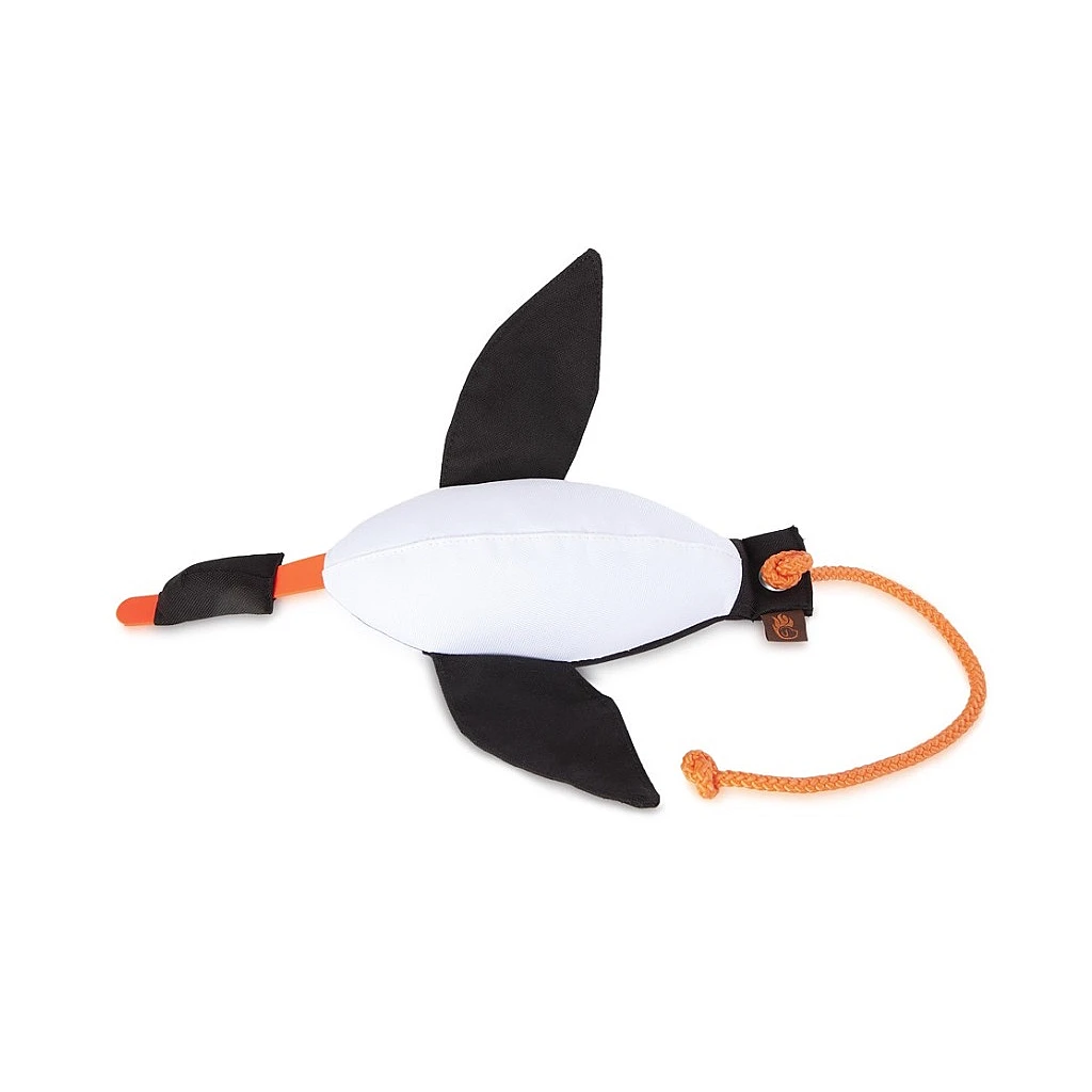 duck-dummy-sorthvit-small environment