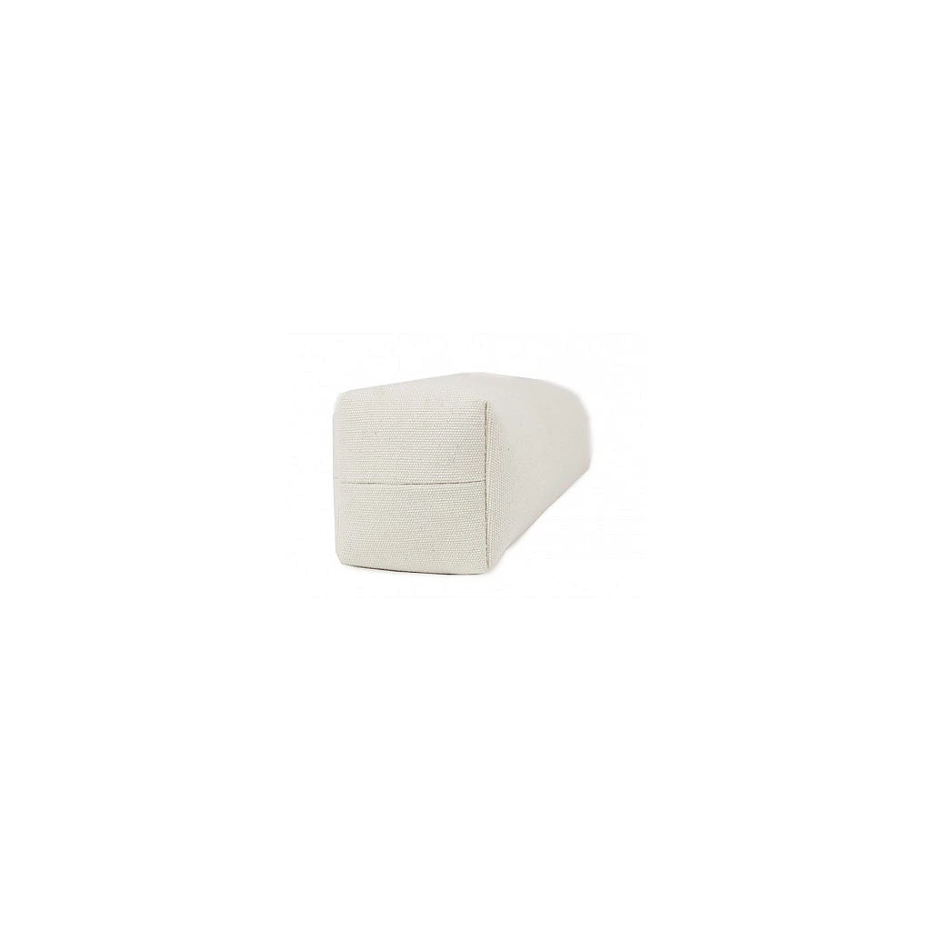 dirigeringsdummy-500gr-hvit-uten-kasthandtak environment
