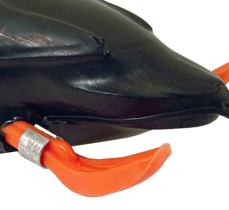 Dokken`s Blackduck
