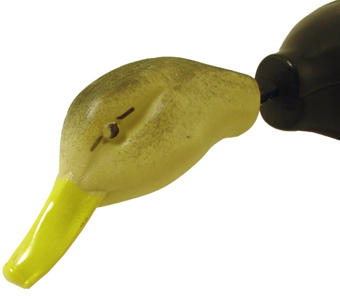 Dokken`s Blackduck