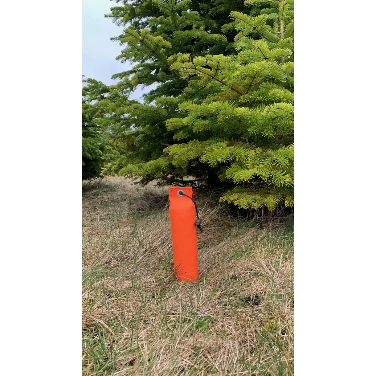 Neon Orange dummy - 500gr