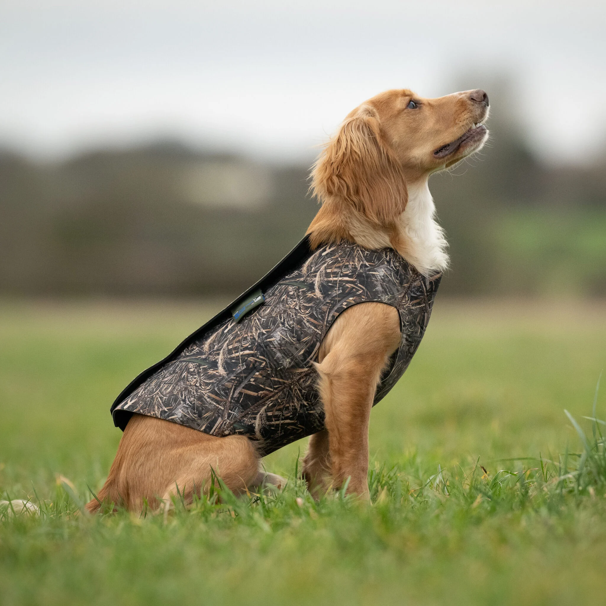 Sporting Neoprenvest - Large