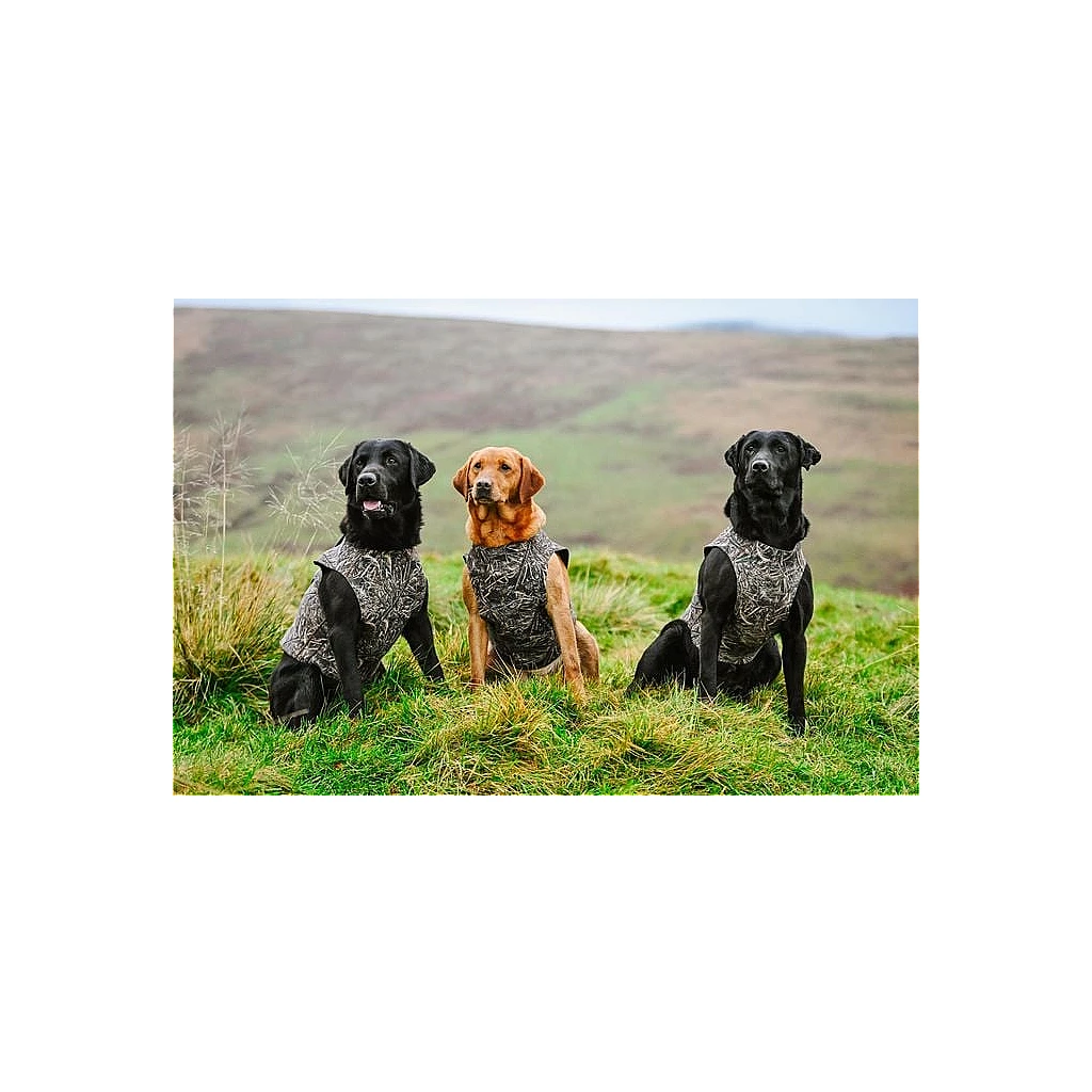 dokkens-neoprenvest-realtree-max5-large environment