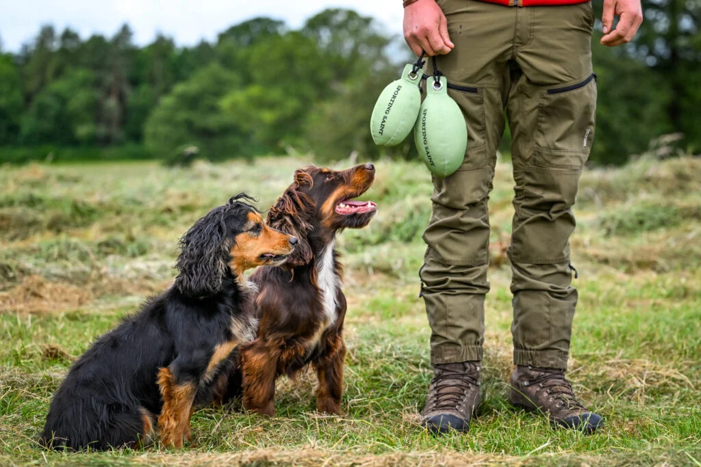 Retrieve Dummy Fasan