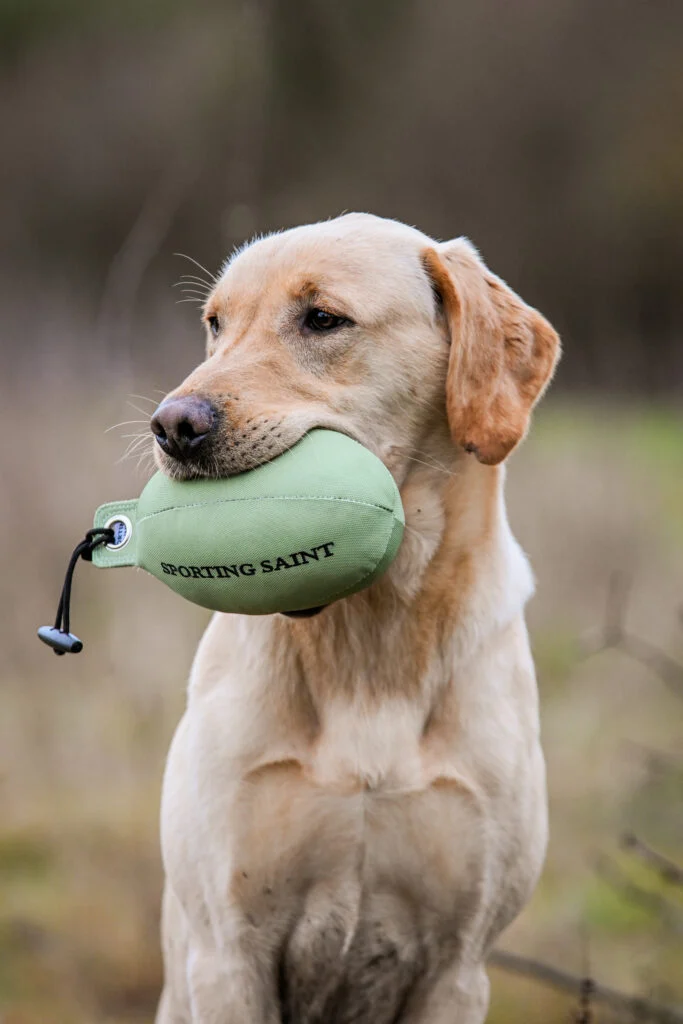 Retrieve Dummy Rapphøne
