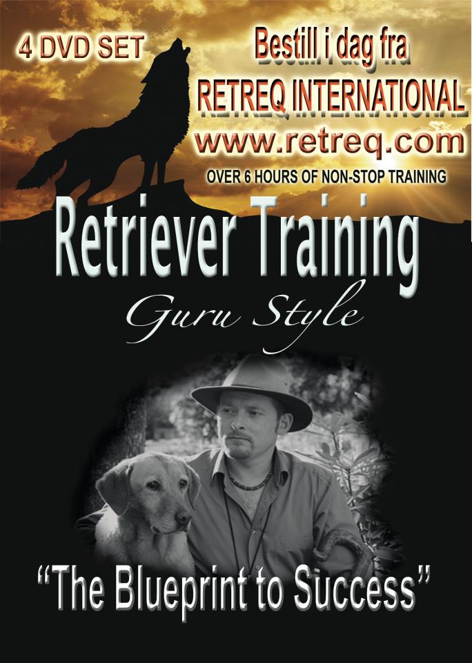 Retriever Training Guru Style